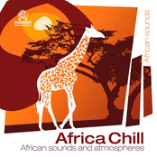 Free Zone by Africa Chill