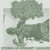 Stench of a burnt carcass