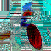 Algorhythmykos