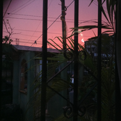 Noches de enero