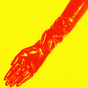 Certificate of Participation