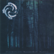 Pilnaties Naktimis Miške