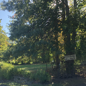 everything will be OK (demo version)