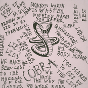 Cobra