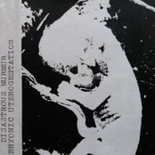 Embryonic Uterogestation