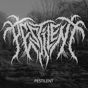 Pestilent