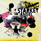 Angel by Starkey