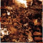 Biological Monstrosity / Magistral Flatulences / Spermswamp / Facial Abuse