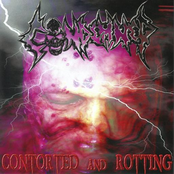 Contorted And Rotting