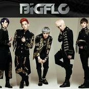 빅플로 (bigflo)