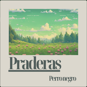 Perro Negro: Praderas