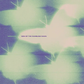 Son of the Rambling Dawn