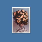 K.I.R.A.L.Y.U.T.C.A.