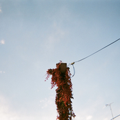 Permanent Vacation - Single