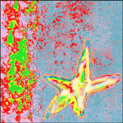Splitting Hits for the Damaged Heat