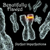 Perfect Imperfections