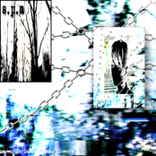 a wonderland of dead flowers