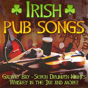 irish troubadour