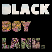 Black Boy Lane