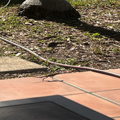 promise i can get it right promise i dnt switch up