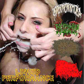 Liquid Performance