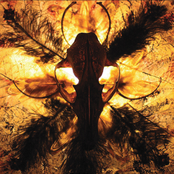 Bones From the Backyard