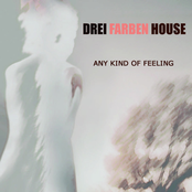 Any Kind Of Feeling