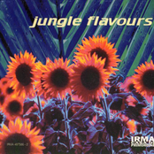 Jungle Flavours