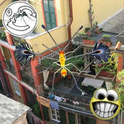 Saline5432188 - Single