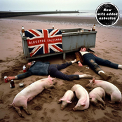 isle of pigs