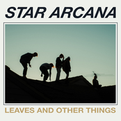 Leaves and Other Things