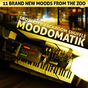 Snow City Backroom Shuffle