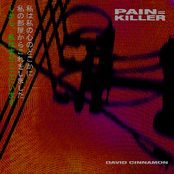 Pain - Killer