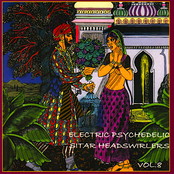 Electric Psychedelic Sitar Headswirlers - Volume 8