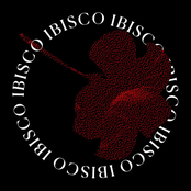 Ibisco - Single