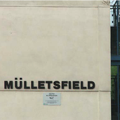 Mulletsfield