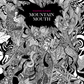 Mountainmouth
