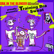 Training Bra Sweat
