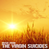 Music From: The Virgin Suicides