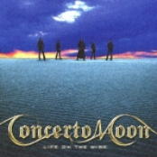 Stand By The Window by Concerto Moon