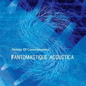 Fantomastique Alaska by Strings Of Consciousness