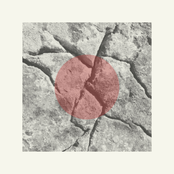 An Ash-Tree Which the Ignorant Call Holy