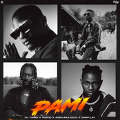 DJ Tunez: PAMI (feat. Wizkid, Adekunle Gold & Omah Lay)