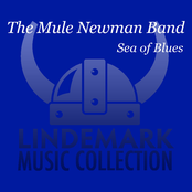 Sea of Blues
