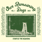 Our Remaining Days, Vol. 1
