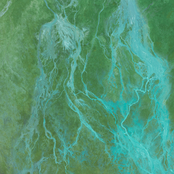 Organic Music Tapes, Vol. 1