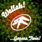 Wallah! ...Gaysex Twin!