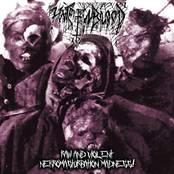 Raw And Violent Necromasturbation Madness