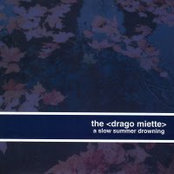 the drago miette