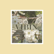Vibin'